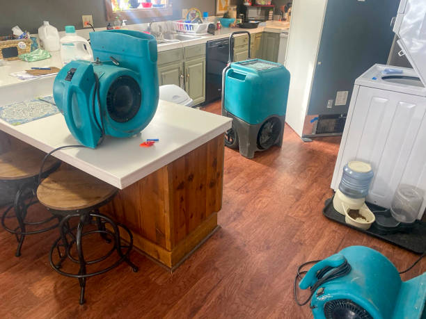 Best Professional water damage repair  in Granite Bay, CA