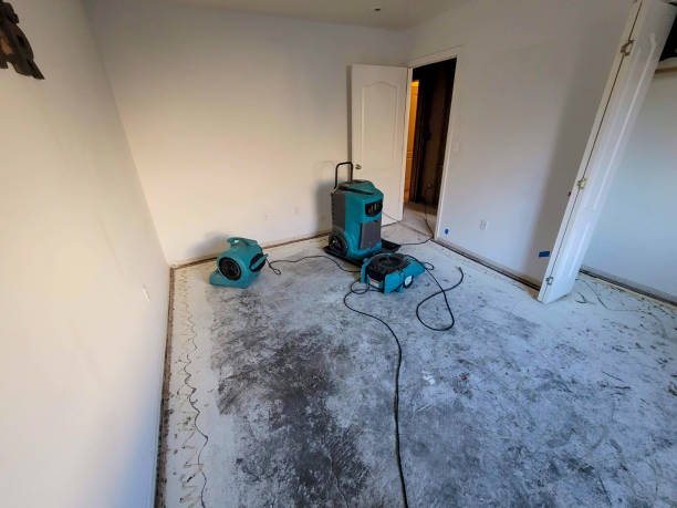 Best Basement water damage restoration  in Granite Bay, CA
