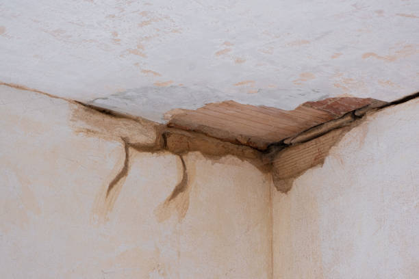 Best Water damage cleanup near me  in Granite Bay, CA