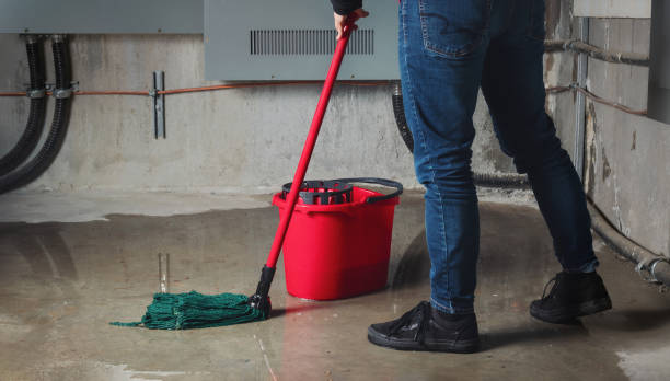 Best Flood damage cleanup  in Granite Bay, CA