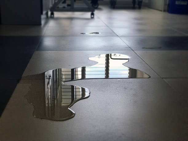 Best Local water damage restoration  in Granite Bay, CA