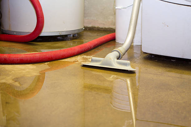 Best Water damage restoration near me  in Granite Bay, CA