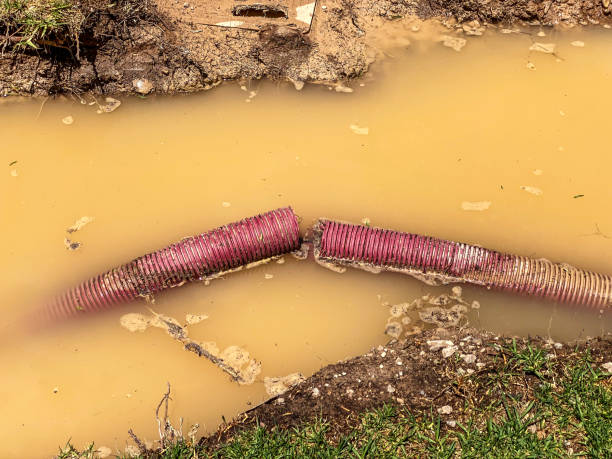 Best Sewage cleanup and water damage restoration  in Granite Bay, CA