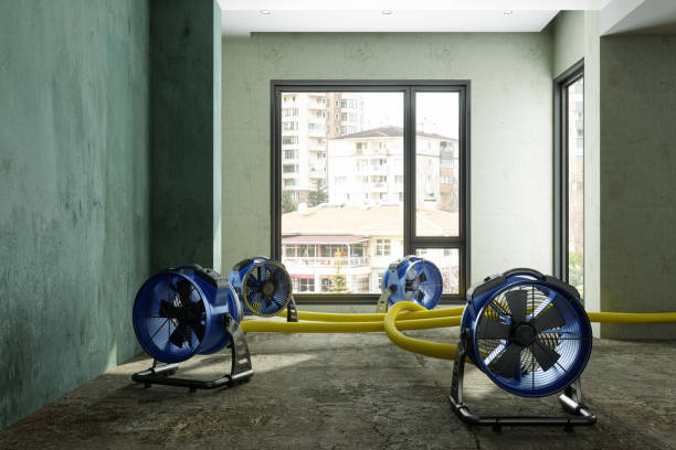 Best 24/7 water damage repair  in Granite Bay, CA